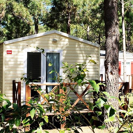 Orbitur Sitava Milfontes Bungalows - Caravan Park Одемира Екстериор снимка